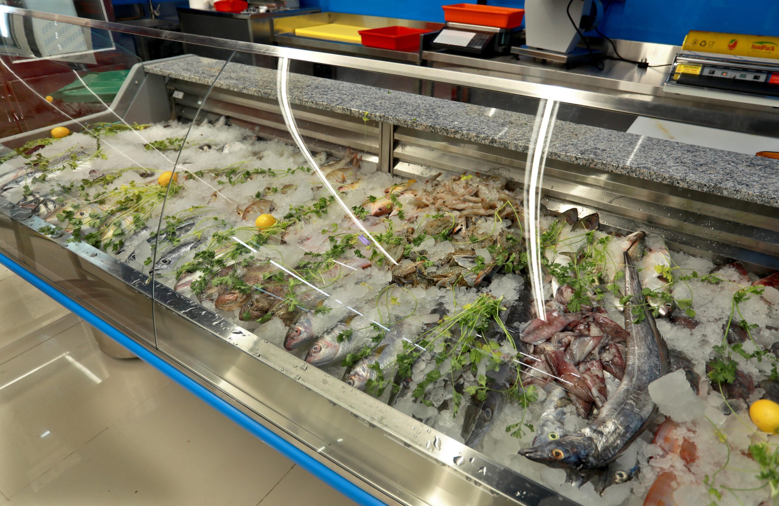 WhatsApp Image 2025 03 17 at 6.34.12 PM 2 scaled