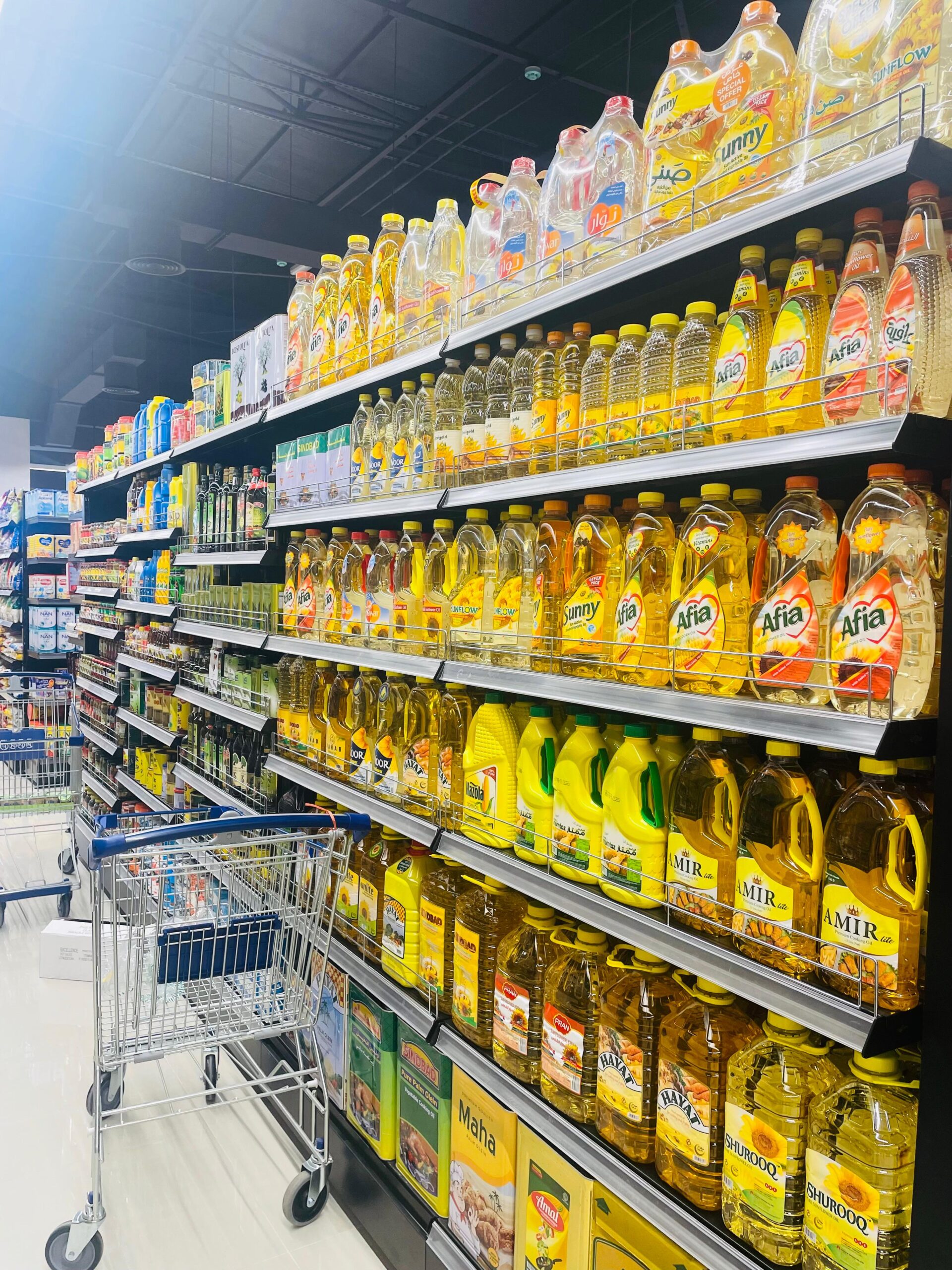 WhatsApp Image 2025 03 17 at 6.34.17 PM 2 scaled